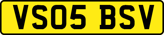 VS05BSV