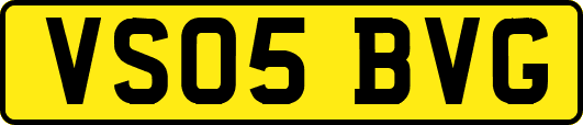 VS05BVG