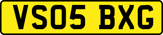 VS05BXG