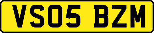 VS05BZM