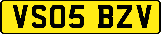 VS05BZV