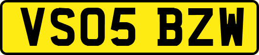 VS05BZW