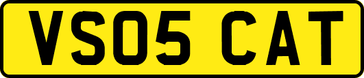 VS05CAT