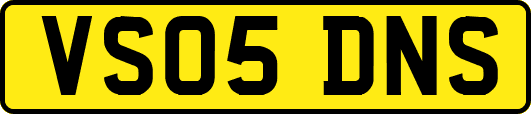 VS05DNS
