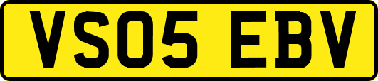 VS05EBV