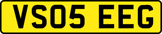 VS05EEG