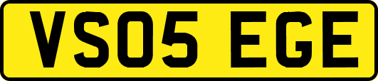 VS05EGE
