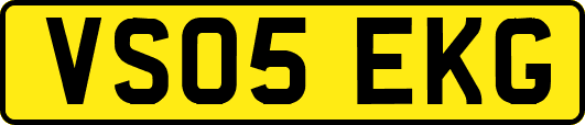 VS05EKG