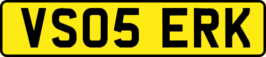 VS05ERK