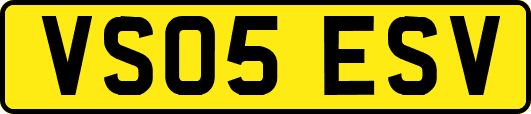 VS05ESV