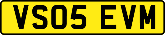 VS05EVM