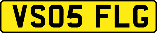 VS05FLG