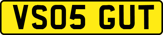 VS05GUT