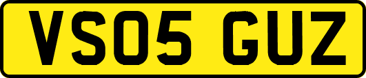 VS05GUZ