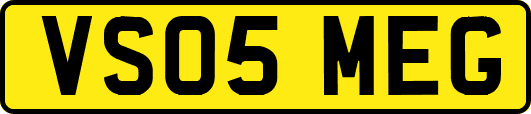 VS05MEG