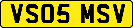 VS05MSV