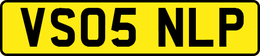 VS05NLP
