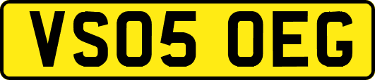 VS05OEG