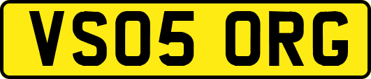 VS05ORG