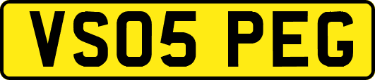 VS05PEG
