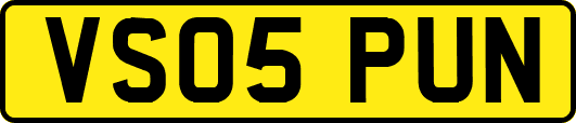 VS05PUN