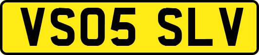 VS05SLV