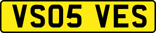 VS05VES