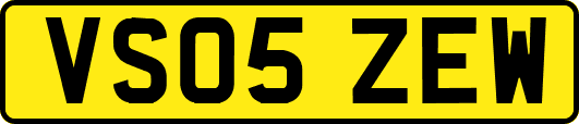 VS05ZEW
