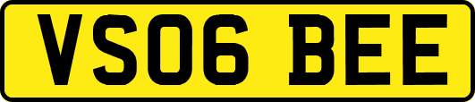 VS06BEE