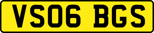 VS06BGS