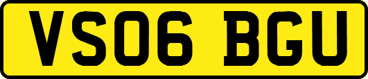 VS06BGU