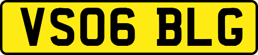 VS06BLG