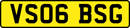 VS06BSG