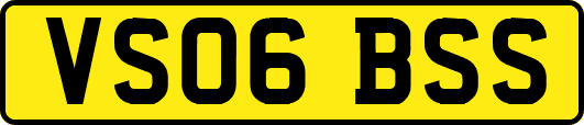 VS06BSS