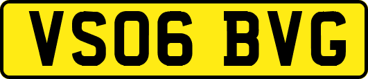 VS06BVG