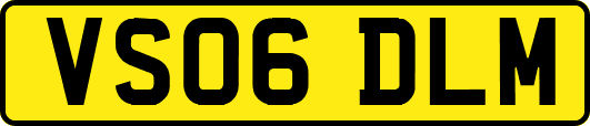 VS06DLM