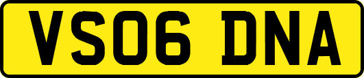 VS06DNA