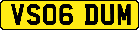 VS06DUM