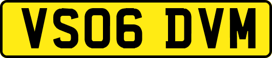 VS06DVM