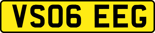 VS06EEG