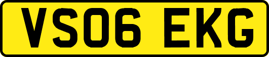 VS06EKG