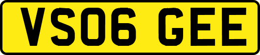 VS06GEE