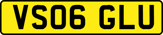 VS06GLU