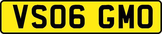 VS06GMO