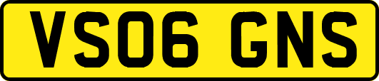 VS06GNS