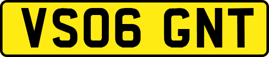 VS06GNT