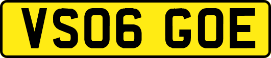 VS06GOE