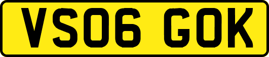 VS06GOK