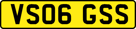 VS06GSS