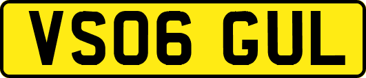 VS06GUL